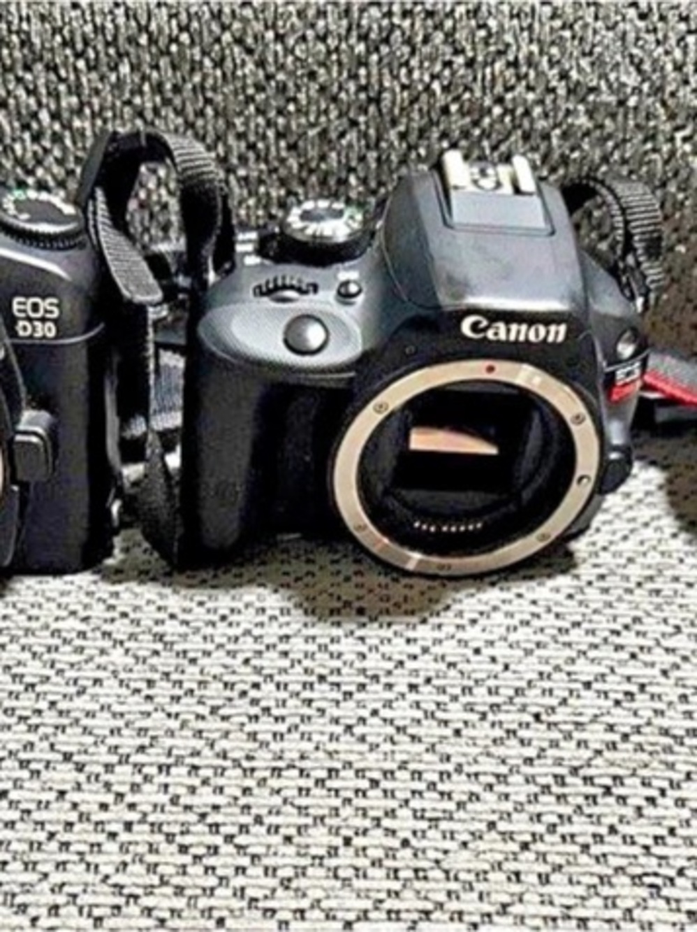 Canon EOS Digital Cameras
